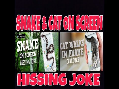 Snake on Screen hissing | गजब का वॉलपेपर |Snake on Screen hissing joke - Android app