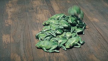 Funny Frog softbody with vellum in Houdini 18.5