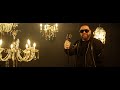 Florin Salam - Frumusetea ta de chip [videoclip oficial]