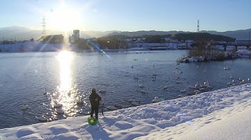 【11/20（土）富山先行、11/27（土）全国順次公開】ドキュメンタリー映画『私は白鳥』予告編