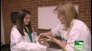 Shiri Appleby Vet For A Day Shiri Appleby Vet For A Day