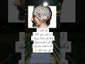 معلومات تهمك وتفهم منها اكسبلور متابعه لايك عبارات ورك Arabic معلومات تهمك وتفهم منها اكسبلور متابعه لايك عبارات ورك Arabic