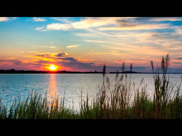 Michael E - Southern Comfort