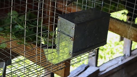 How To Install A Rabbit Feeder The Correct Way