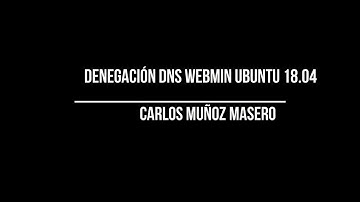 DNS Denegación de servicios Webmin Ubuntu 18.04 IES Palomeras Vallecas