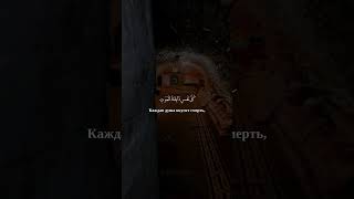 «Аль-Анкабут» («Паук»), сура 29 аят 56-58, чтец: Махер