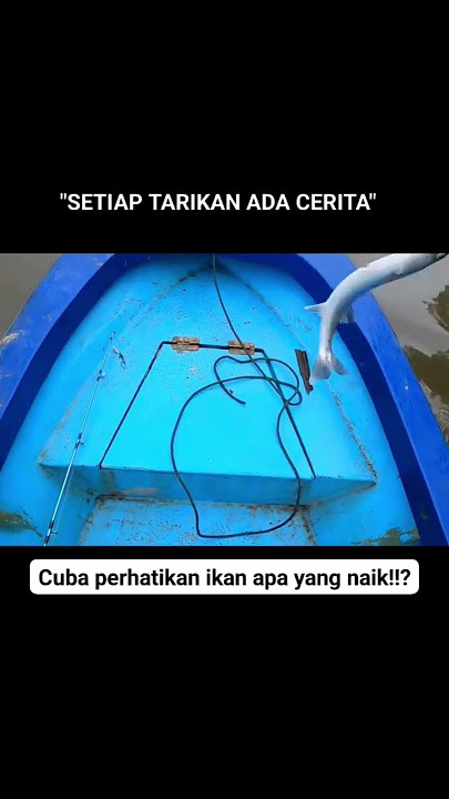 Kecik kecik pun Dia tarik Joran padu!!? #fishing #storywa #casting #ikan #fyp #fishingworld