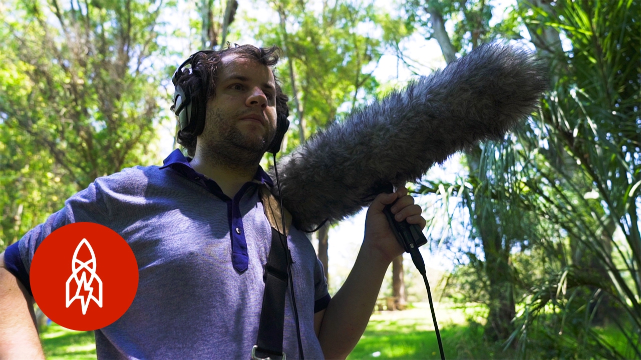 Blind Birdwatcher Sees with Sound - Blind Birdwatcher Sees with Sound