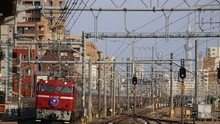 JR東日本 9011レ EF81-97号機{田}+E26系 カシオペア紀行(盛岡行) 尾久駅通過