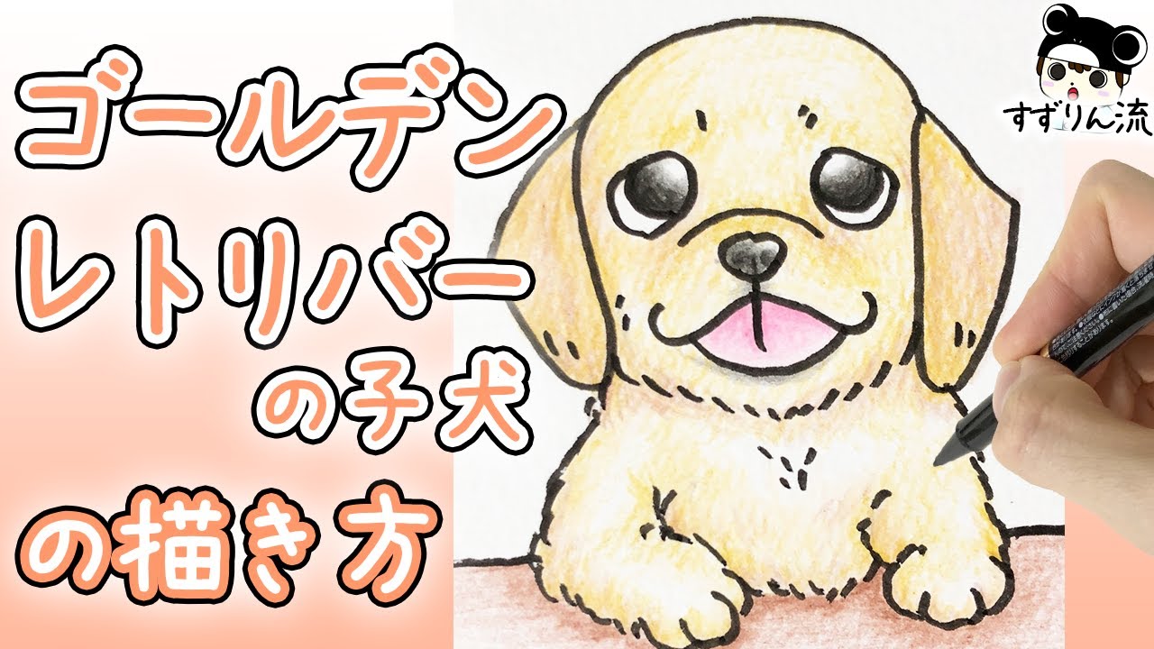 Illustration Of A Dog Cute How To Draw A Golden Retriever Puppy Youtube