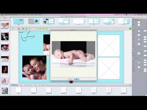 How to insert pictures into your Smiley Hippo project