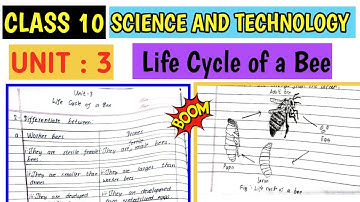 Class 10 science unit 3 life cycle of honey bees exercise in English | Class 10 Science guide