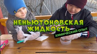 Проводим опыт - неньютоновская жидкость