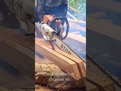 mantap-kayu-kualitas-terbaik-with-chainsaw-stihl-070