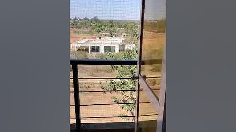 Pigeon Net For Balcony Bangalore | 9008469700 | #safetynet #net #mesh #netting #pigeon #youtubeshort