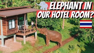 We stayed at an ELEPHANT HOTEL | Elephant sanctuary Thailand 2021