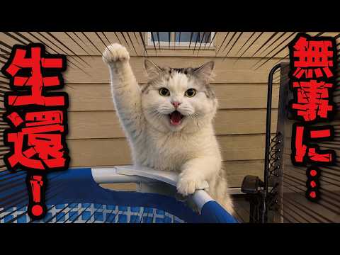 Miracle] Tsukushi Survives the Summer Without Falling Into the