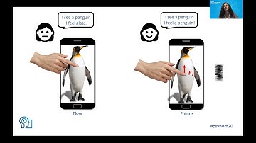 Tactile Perception by Electrovibration