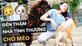 Đến thăm nhà tình thương chó mèo cùng mình