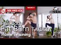 e.27 4분만에 집에서 칼로리 태우기 ㅣ The Best FAT-Burning Home Workout in 4min