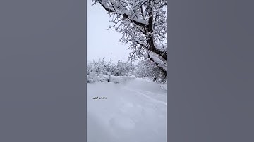 القارئ (عبدالرحمن الورتي)🌹🤍