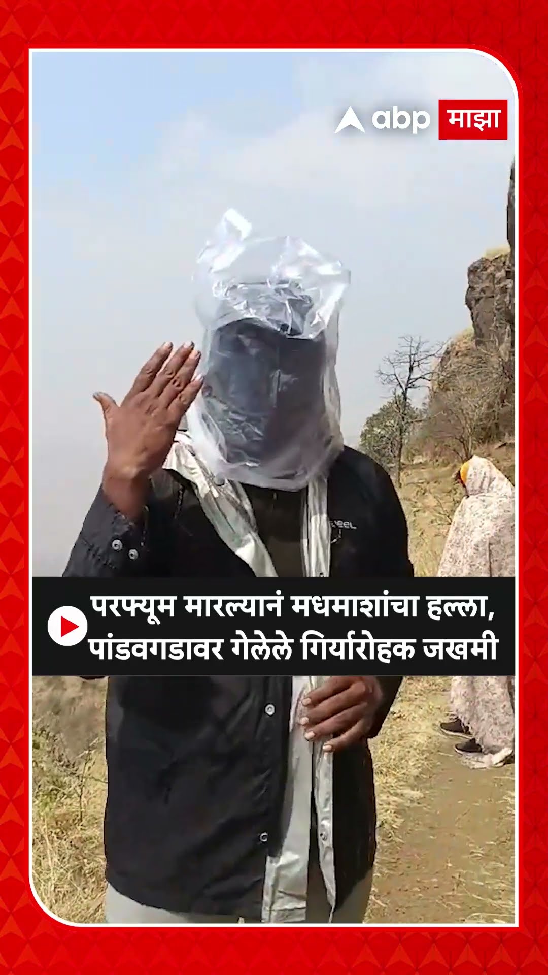 Satara Pandavgad Honey bee Attack : परफ्यूम मारल्यानं मधमाशांचा हल्ला, पांडवगडावर गेलेले जखमी