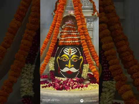 har har Mahadev 🙏🌷🙏 #viralvideo #youtubeshorts