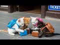 Cute Kittens Build Juice Stand, Sell Out & Watch Movie Night Together