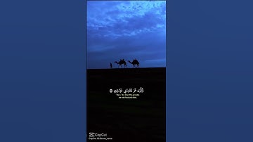 HolyQuran 💤 #قران_كريم #اكسبلور #المصحف #الرحمن #quran #تلاوة_خاشعة