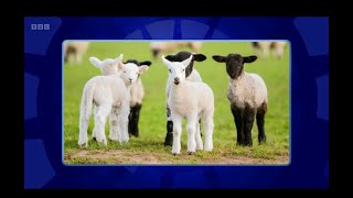 Only Connect - Series 19 - Episode 3