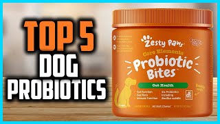 ✅ Top 5 Best Dog Probiotics of 2024