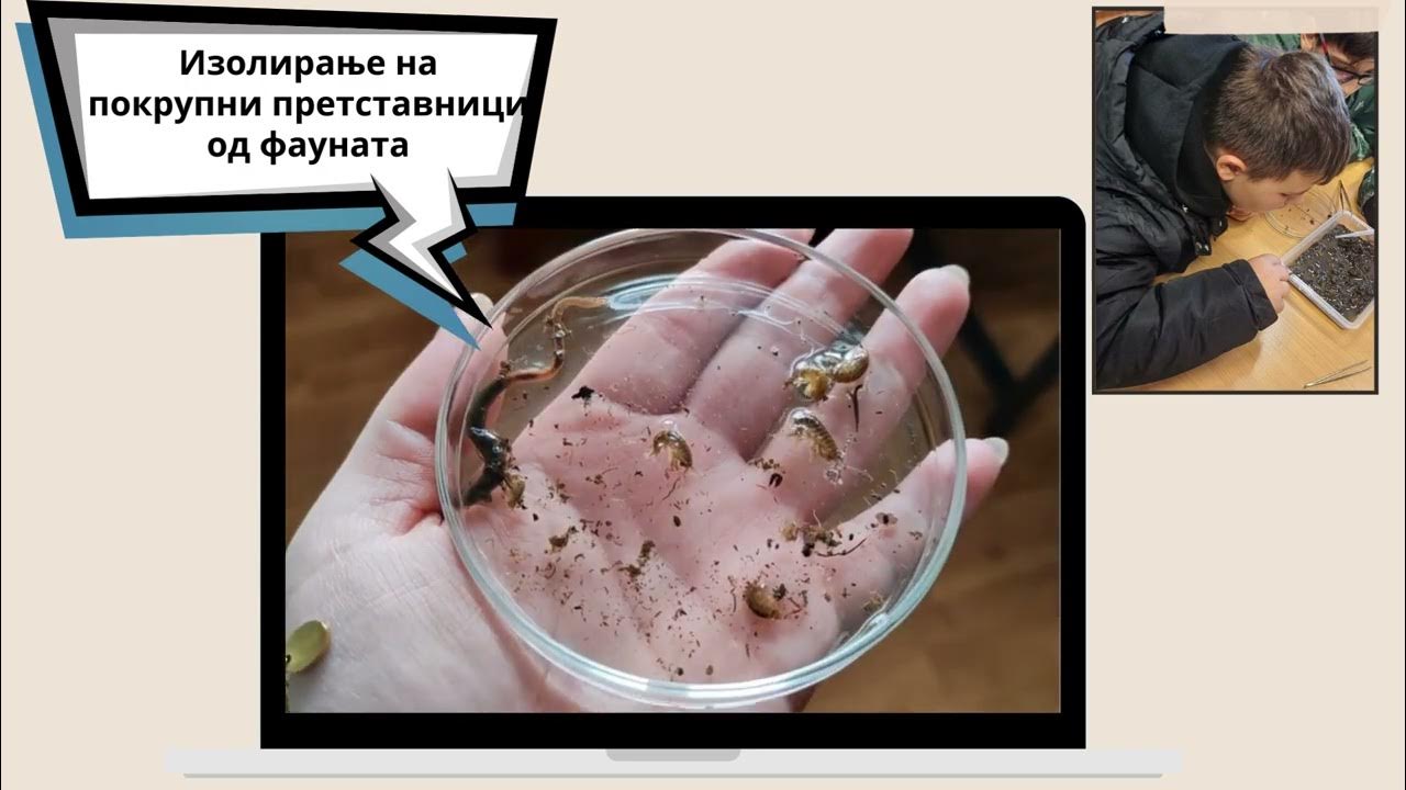 Живите организми и нивната животна средина - YouTube