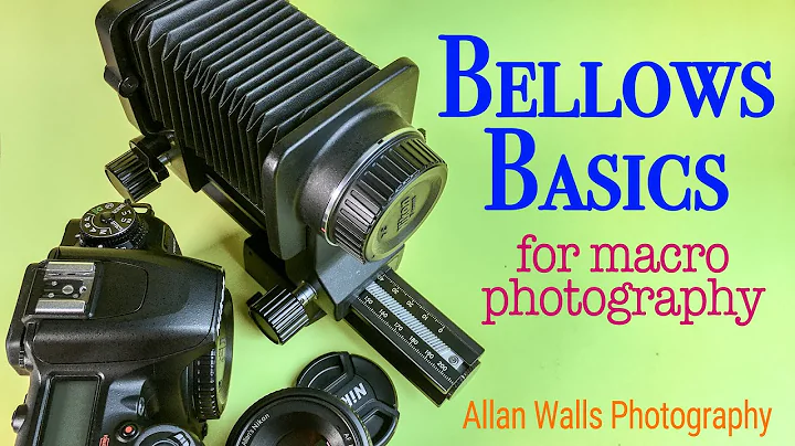 Bellows Basics for Macro Photography