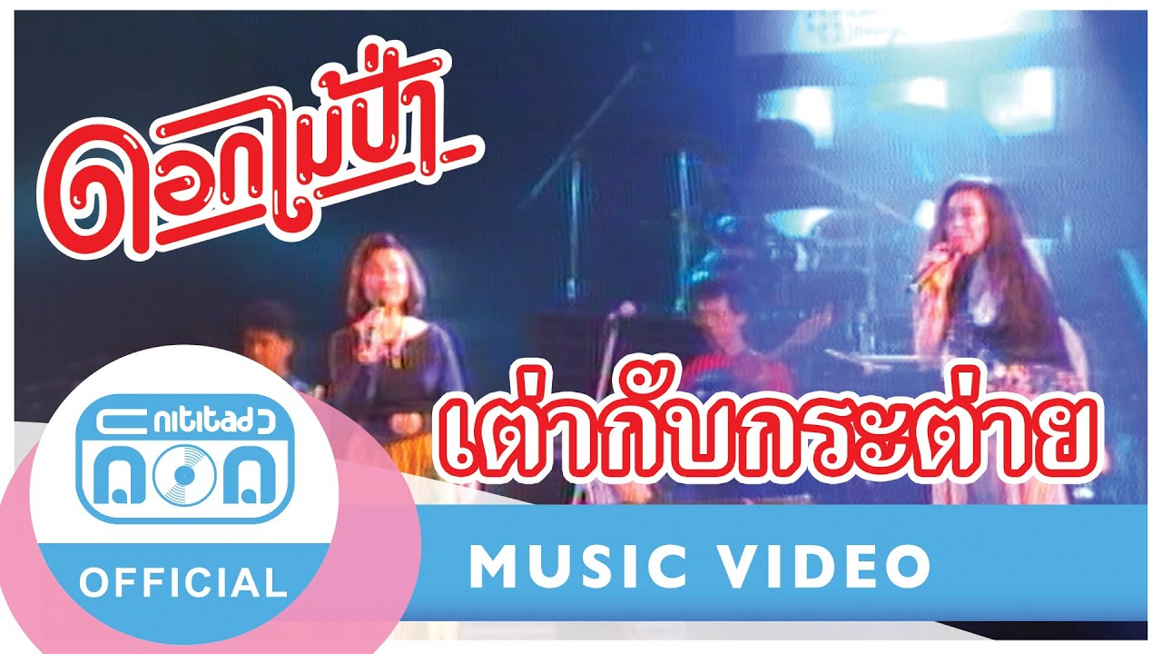 เต่ากับกระต่าย Ver.3 ช่า - ดอกไม้ป่า (ภาพคอนเสิร์ต)
