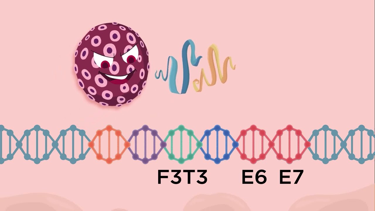 HPV integration induces oncogenic gene fusions