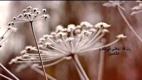 Quran _ Nasser alqtami- سورة المسد- ناصر القطامي