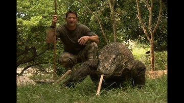 Largest Lizard on Earth | The Komodo Dragon | Deadly 60 | Indonesia | Series 3 | BBC