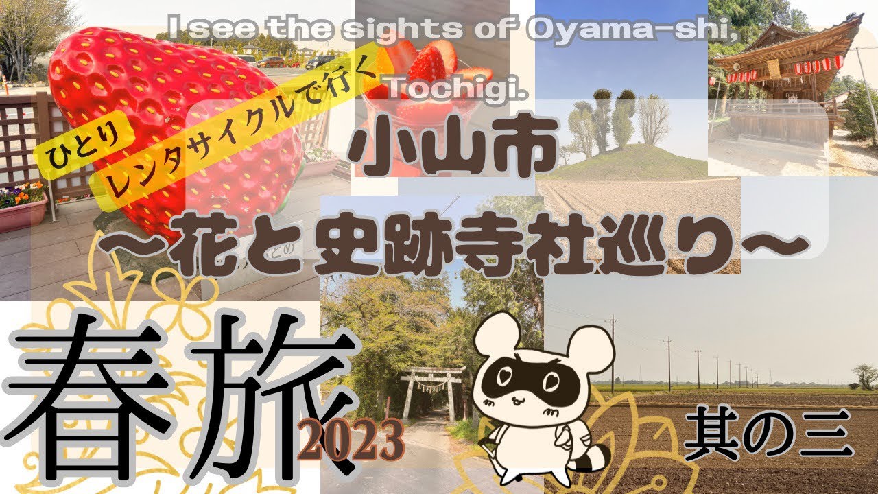 春旅~其の三~小山市/寺社史跡巡り/レンタサイクル/いちごの里/桜と菜の花/女ひとり/観光【旅vlog vol.3】
