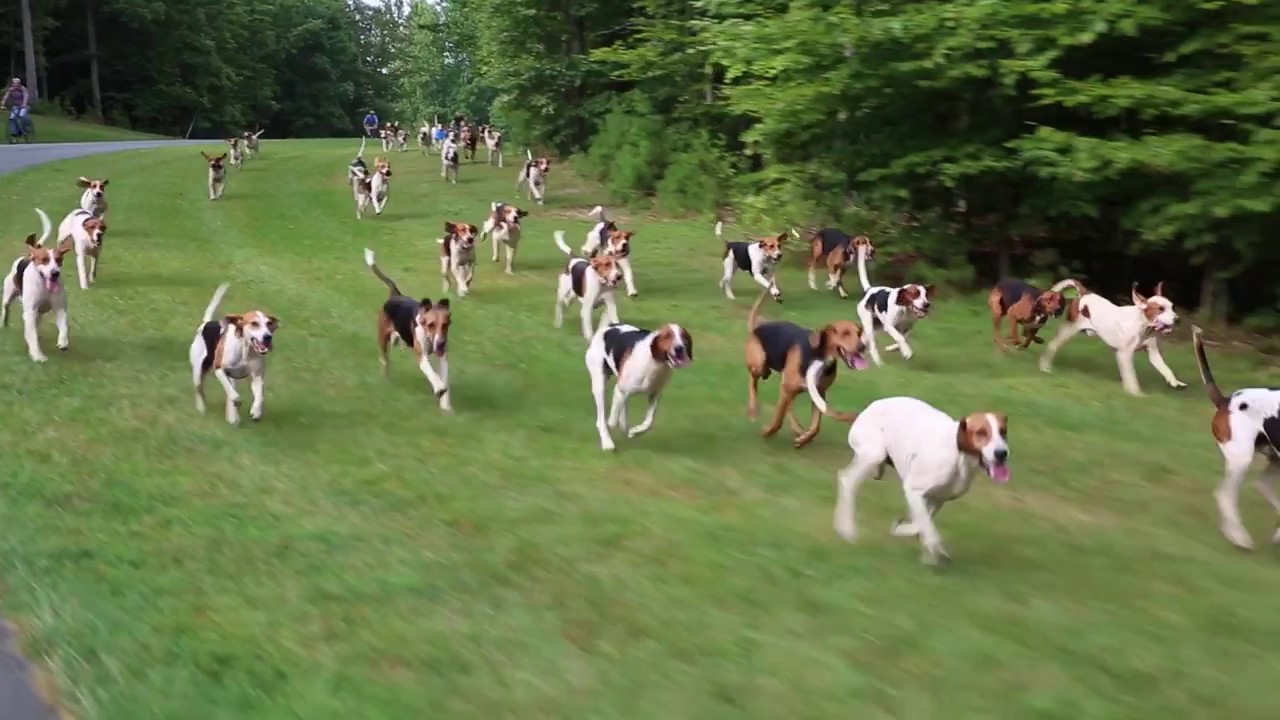 Keswick Estate Loop v1