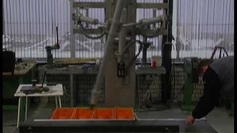 Vision & Robotics: Aris Sorting Trees