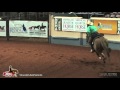 Royal Chexy Lady 2012 NRHA Derby Friday Open Royal Chexy Lady 2012 NRHA Derby Friday Open