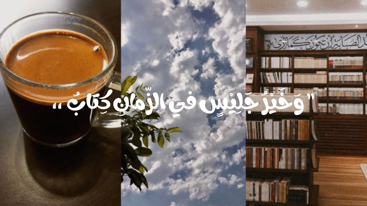 معرض الكتاب 2025 - VLOG 38