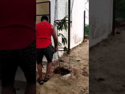 camera iphone 8 plus apk बारिश के मौसम में इस सांप से बचकर रहें/cobra/Snake rescue/snakes Catcher/saanp/Kala naag/King cobra