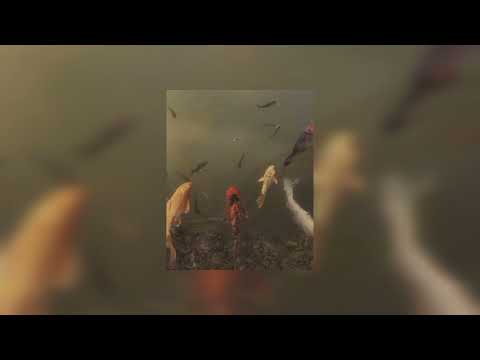 REACTIE OP M-POP / MALEISISCHE MUZIEK: Bunga \u0026 Amsyar Leee - Belai