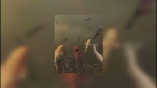 Amsyar Lee ft Bunga - Belai ( Slowed   Reverb )