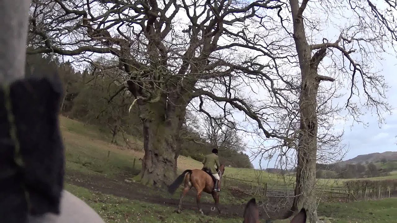 Pearson Eventing visit The United Pack at Wotherton. 28th February 2015
