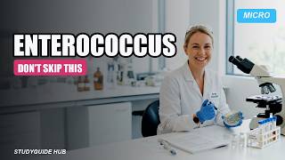 45. Microbiology Podcast: Enterococcus – The Gut Survivor