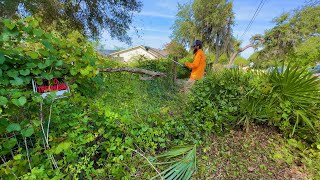 Neighbors REPORTED this house to the city COUNTLESS TIMES and IT STILL HASNT BEEN MOWED! by Al Bladez 2,096,507 views 9 months ago 53 minutes