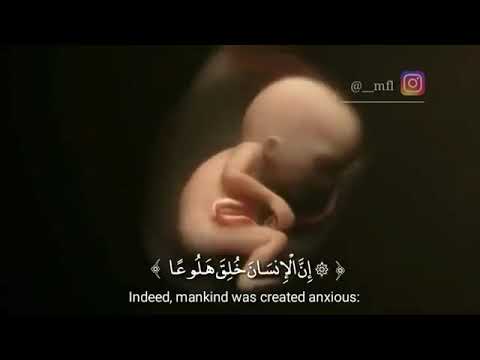 تلاوة خاشعة ان الانسان خلق هوعا حالات واتس اب