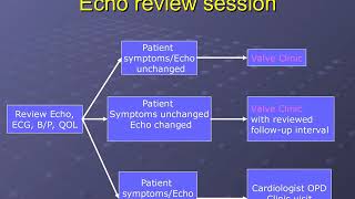 Mubashar A Choudry Md - What Are The Main Characteristics Of Echo Tech Led